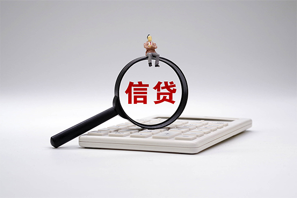 西安13大额短借